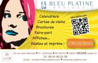 Bleu Platine - Le rat des Champs